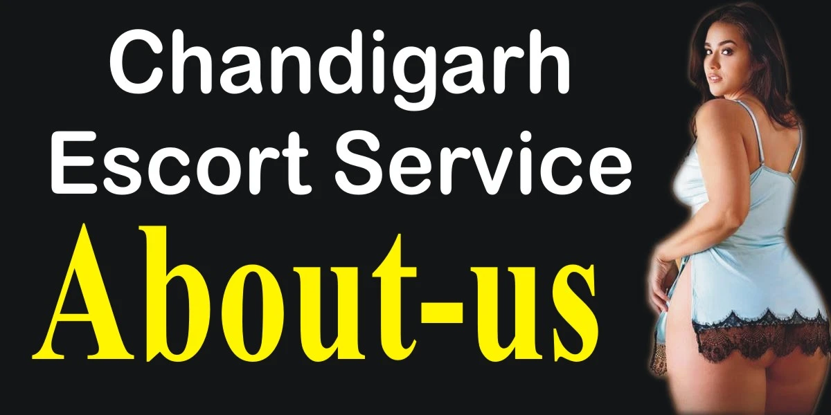 logo for about us page of Chandigarh escort service