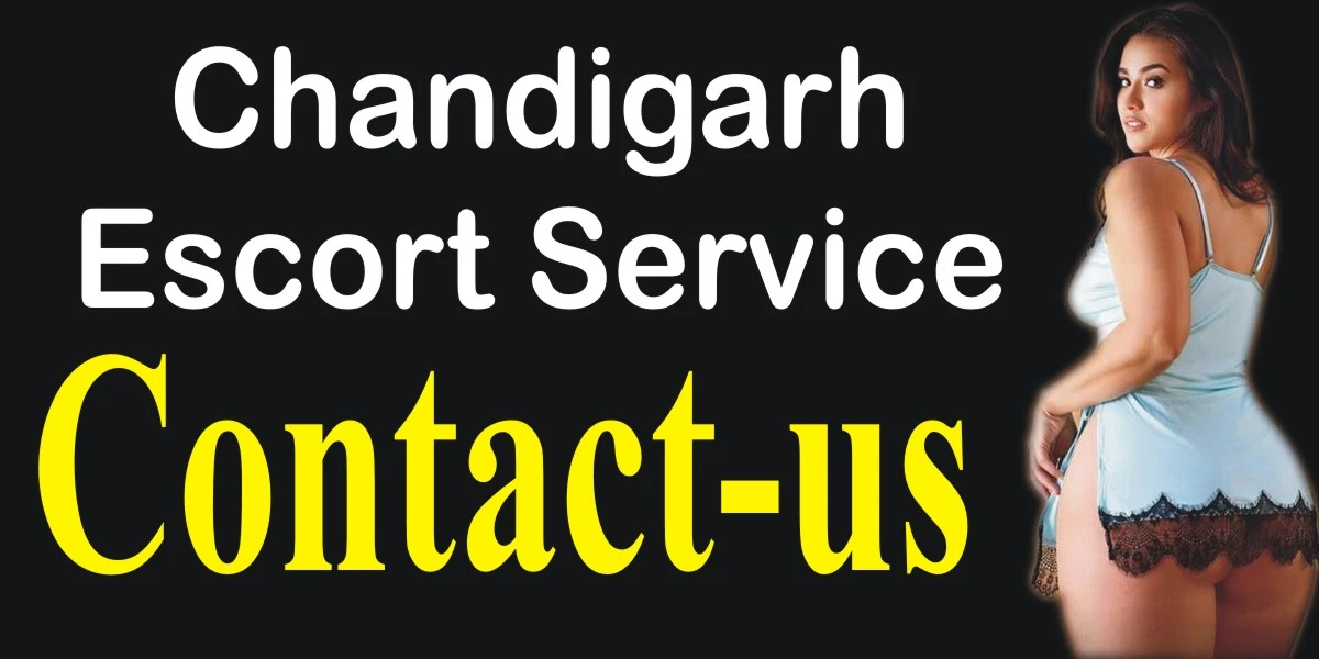 logo of contact page of Chandigarh escort service