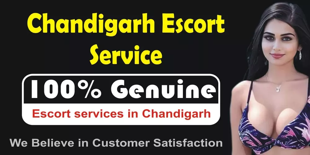 logo of Chandigarh escort service