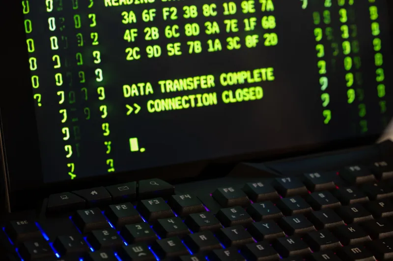 Encrypted, Elegant, and Informed: How Digital Communication Protocols Are Setting a New Standard for International Companion Engagement